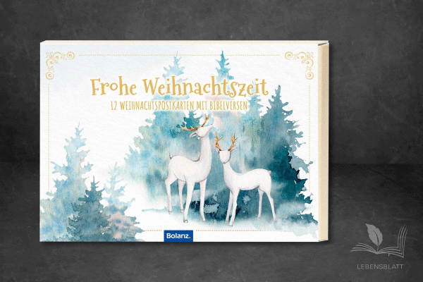 Postkartenbox I Frohe Winterzeit