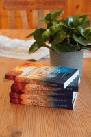 Vom Schatten zum Licht - Sonderausgabe I Buch