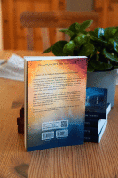 Vom Schatten zum Licht - Sonderausgabe I Buch