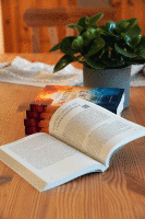 Vom Schatten zum Licht - Sonderausgabe I Buch
