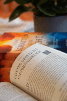 Vom Schatten zum Licht - Sonderausgabe I Buch