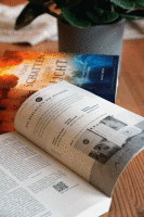 Vom Schatten zum Licht - Sonderausgabe I Buch