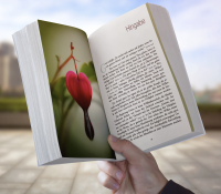 Finde inneren Frieden I Buch