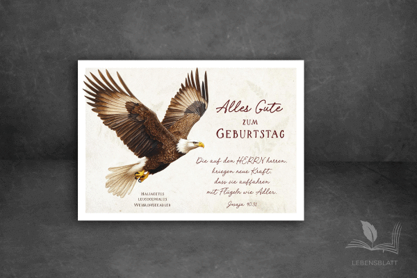 Postkarte I Geburtstag Adler