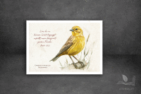 Postkarte I Goldammer